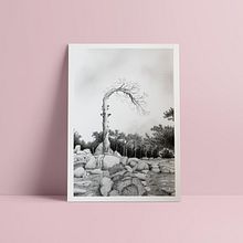 La Jarosa | 2017 Ein Projekt aus dem Bereich Kunstleitung und Traditionelle Illustration von eluguina - 06.03.2017