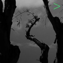 N a t u rÂ e . % Txeka tarafından hazırlanan Tasarım, Ve Fotoğrafçılık projesi - 03.07.2017