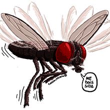Mosca Común (Sticker).. Design gráfico e Ilustração tradicional projeto de Nubia EATS - 08.03.2017