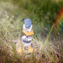 Pato Donald. Photograph project by David Brat - 03.12.2017