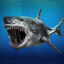 Shark - Discovery Underwater View-Master VR. 3D, Design, Game Design, Character Design & IT project by Sergio Garcia Poderoso - 07.15.2015
