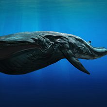 Discovery VR Whale - Comic Con Los Angeles. 3D, Design, Game Design, and Character Design project by Sergio Garcia Poderoso - 07.15.2015