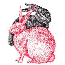 Animals. Un proyecto de Artesanía e Ilustración tradicional de Eliana Iñiguez - 16.03.2017