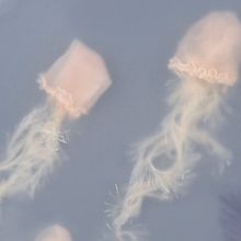 Jellyfish. Un projet de Beaux Arts , et Collage de Sonia Alins Miguel - 27.02.2017