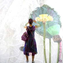 Sutil Japón. Un proyecto de Collage, Diseño gráfico y Fotografía de Nuria González Fernández - 21.03.2017