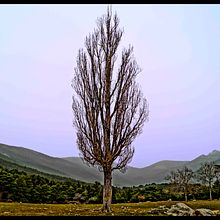 Demostración. . Photograph project by Adrian Vallesa - 03.22.2017