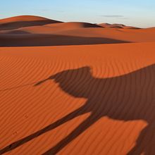 Marruecos. Photograph project by Darío Zárate - 03.22.2017