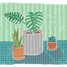 Plants. Traditional illustration, and Product Design project by Carla Padilla - 03.22.2017