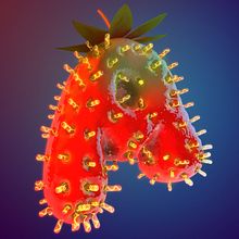 Strawberry Light. 3D, Art Direction, T, and pograph project by Melissa Franch - 03.24.2017