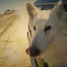 Rural. Film, Video, TV, Audiovisual Production, and Video project by Sillage Productions - 03.25.2017