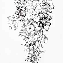 Margaritas. Fine Arts, and Design project by Ana Fernández Berraquero - 03.27.2017