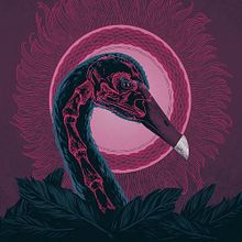 Black Swan. Un progetto di Graphic design e Illustrazione tradizionale di Andreu Zaragoza - 03.04.2017
