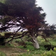 Paseo en la playa. IT project by diaz_pablo_25 - 04.04.2017