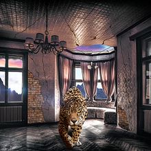 Jaguar House . % Matías Adaro tarafından hazırlanan Tasarım projesi - 04.17.2017