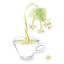 Exposición: plantas para beber. Un proyecto de Ilustración tradicional de Thaïs Borri Bas - 18.04.2017