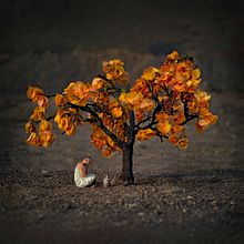 Calendario para la asociación ecologista Ben Magec- Ecologistas en Acción. . Fotografi proyek oleh maryamalvarado - 12.01.2016