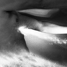 Mi Proyecto del curso: Fotografía para la imaginación. Un progetto di Fotografia di oscar valenzuela - 18.04.2017