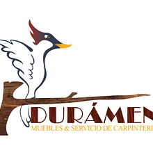 Durámen. Br, ing, Identit, Design, Traditional illustration, and Naming project by Alex Fernando Tingo Melena - 04.22.2017