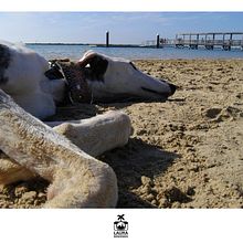 Oreo. Un proyecto de Fotografía de Laura Bienvenido - 24.04.2017