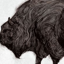 Mastodon Series II. BISON. Ilustração tradicional projeto de Álvaro Cubero González - 31.08.2016