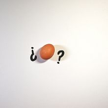 Mi Proyecto del curso: Cacareando Stop Motion: animación fotograma a fotograma con huevos :) . % Sonia tarafından hazırlanan Tasarım projesi - 05.03.2017