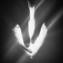 Corazón de luz. Een project van Fotografie van Ignacio Gonzalez - 02.05.2017