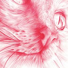 R.E.D  - Ilustración a bolígrafo bic . Traditional illustration project by Begoña Górriz - 05.03.2017