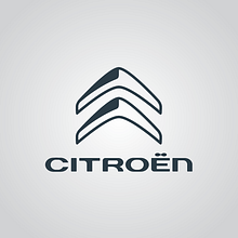 Rouge Automobiles - Concesionario Oficial de CITROËN Ein Projekt aus dem Bereich Br und ing und Identität von Damián Aquino - 03.05.2017
