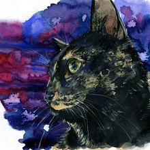 Gato carey. Un proyecto de Ilustración tradicional de Sol Álvarez Alija - 03.05.2017