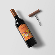 Campo Viejo, etiquetas de vino. Graphic Design, and Packaging project by Laura Singular - 05.04.2017