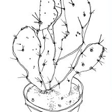 CACTUS/CACTOS/CACTI. Fine Arts, Editorial Design, and Traditional illustration project by Elena López Lanzarote - 05.05.2017