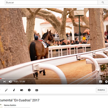Documental "En Cuadras". Film, Film, Video, TV, and Video project by Nerea Bañón Diez de la Torre - 04.23.2017