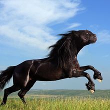 Curso Oficial Adobe Photoshop. Un proyecto de Diseño de Jaime López Bote - 28.03.2017