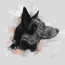 Dog portraits . Fine Arts, and Traditional illustration project by Ricardo Macía Lalinde - 05.20.2017