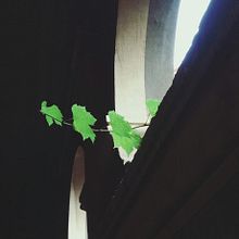 Places | Bodega y Vid. Un progetto di Architettura e Fotografia di Florencia Morales - 13.05.2017