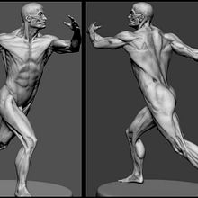 Modelado anatomia. Un progetto di 3D di Rafa Zabala - 13.05.2017