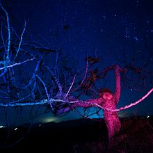 about survaival yet perspective. Photograph project by hiko uemura - 05.18.2017