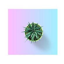 Querida Margarita - Branding. Un progetto di Br, ing, Br, identit e Design di Emeline Bon - 23.05.2017