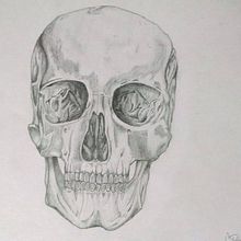 Dibujo Craneo. Un progetto di Graphic design di Alejandro Benjamin Cortés Valdéz - 27.05.2017