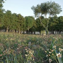Landscape 3D. Projekt z dziedziny 3D, Architektura krajobrazu i Postprodukcja fotograficzna użytkownika Oliver Barrios - 28.05.2017