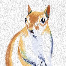 Natura. Animation project by Irene Barrasa Ramos - 05.28.2017