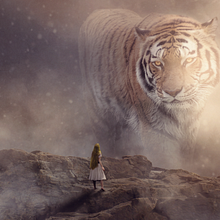TIGRE FANTASY. Graphic Design project by Ebrahim Abdalah - 05.29.2017