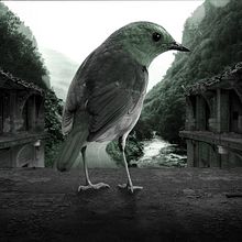 Mi Proyecto del curso: Secretos del fotomontaje y el retoque creativo. Graphic Design project by gsepulveda92 - 05.31.2017