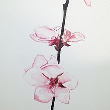 Orquidea. Fine Arts, and Traditional illustration project by Ana Fernández Berraquero - 02.21.2016