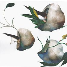Ode to a delirious imagination. Traditional illustration project by Àngela Piéret - 06.04.2013