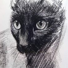 Dibujos conté. Un proyecto de Bellas Artes de Elena Martín Beci - 05.06.2017