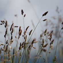 Naturaleza. Photograph project by Elia Pérez de Miguel - 06.12.2017