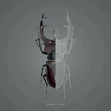 Geometric Lucanus Cervus. Projekt z dziedziny Grafika ed, torska, Trad, c, jna ilustracja i Grafika wektorowa użytkownika Sergio Gómez - 13.06.2017
