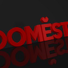 DOMESTIKA - LOGO 3D. 3D project by Sara Sintes - 05.30.2017