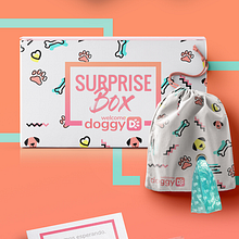 Branding Welcome Doggy. Br, ing, Identit, Product Design, Web Design, Graphic Design, and UX / UI project by Leónnidas - 06.21.2017
